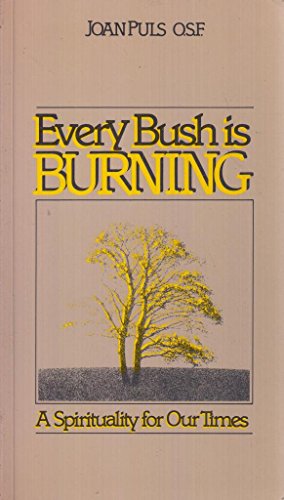 Stock image for Every Bush is Burning: A Spirituality for Our Times for sale by WorldofBooks