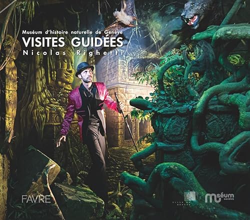 Stock image for Visites Guides for sale by Gallix