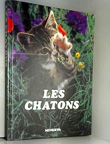 Stock image for Les chatons for sale by Ammareal