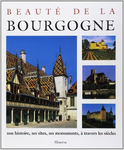 Beispielbild fr Beaut de la Bourgogne : Son histoire, ses sites, ses monuments,  travers les sicles zum Verkauf von Ammareal