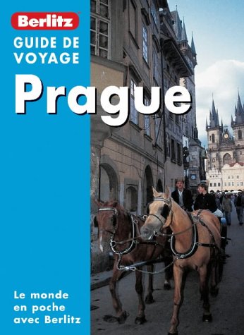 Beispielbild fr guide de voyage zum Verkauf von Ammareal