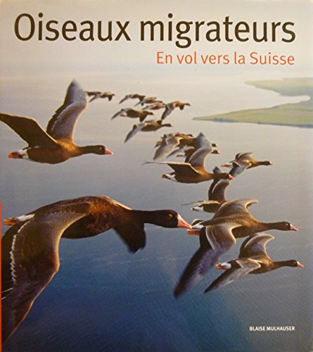 Stock image for Oiseaux migrateurs en vol vers la Suisse for sale by Ammareal
