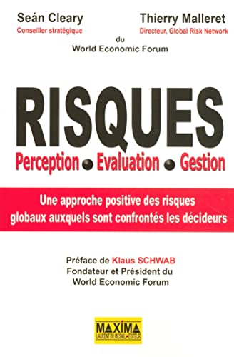 9782840014676: Risques: Perception, Evaluation, Gestion