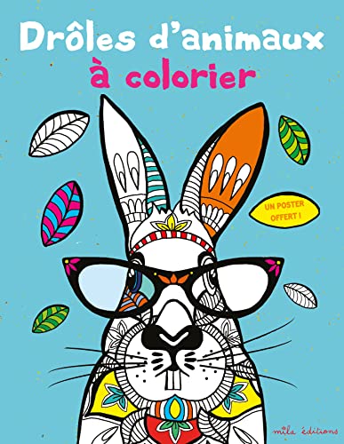 Beispielbild fr Drles D'animaux  Colorier zum Verkauf von RECYCLIVRE