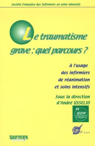 Beispielbild fr LE TRAUMATISME GRAVE : QUEL PARCOURS ? A L'USAGE DES INFIRMIERS DEE REANIMATION zum Verkauf von Gallix