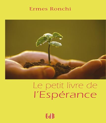 Beispielbild fr Le petit livre de l'esprance zum Verkauf von Ammareal