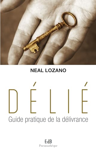 Imagen de archivo de Dli : Guide Pratique De La Dlivrance a la venta por RECYCLIVRE