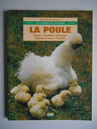 Beispielbild fr Cahiers de l'levage : la poule zum Verkauf von medimops