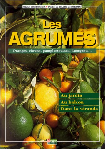 Beispielbild fr Les agrumes zum Verkauf von Ammareal