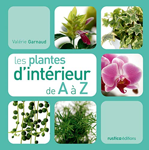 Stock image for Les plantes d'intrieur de A  Z for sale by Ammareal