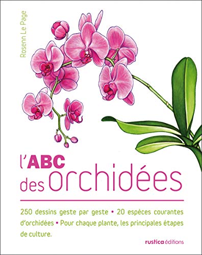 Beispielbild fr L'abc Des Orchides zum Verkauf von RECYCLIVRE