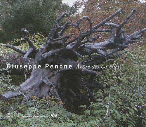 GIUSEPPE PENONE - ARBRE DES VOYELLES (9782840563082) by SOUTIF DANIEL / BERNADAC MARIE-LAURE / KAEPPELIN OLIVIER