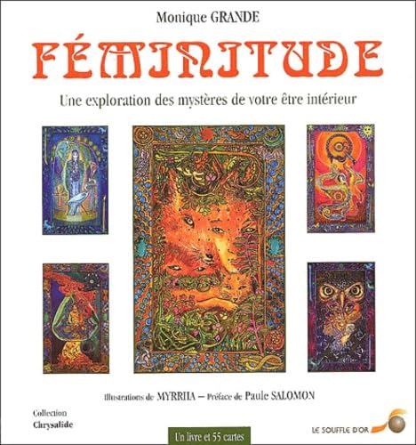 Beispielbild fr Fminitude : Une Exploration des mystres de votre tre intrieur (1 livre + 54 cartes) zum Verkauf von medimops