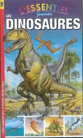 Beispielbild fr Les Dinosaures zum Verkauf von medimops