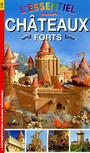 Stock image for Chteaux forts for sale by Ammareal