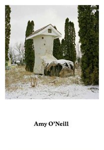 Stock image for Amy O'Neill : Suburban Imagination for sale by HALCYON BOOKS