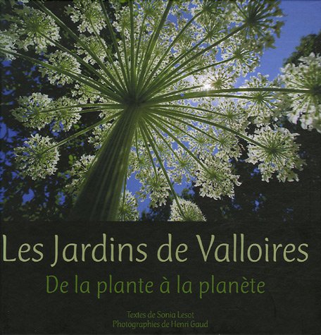 Stock image for Les Jardins de Valloires : De la plante  la plante for sale by LeLivreVert