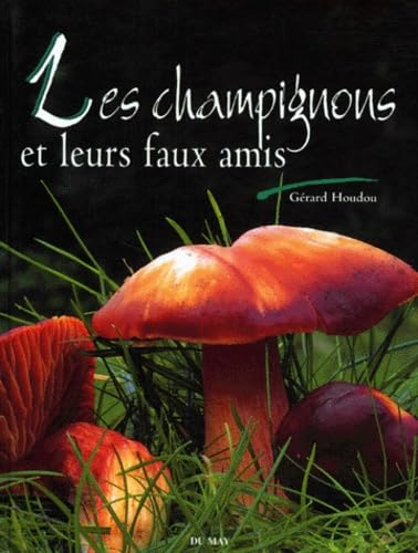 Les champignons et leurs faux amis