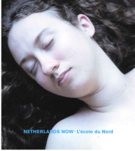 Beispielbild fr NETHERLANDS NOW. L'cole du Nord zum Verkauf von Librairie Couleur du Temps