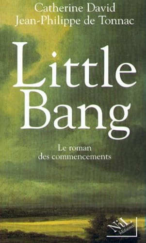 Beispielbild fr Little Bang le roman des commencements zum Verkauf von Ammareal