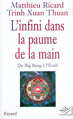 Beispielbild fr L'infini dans la paume de la main du big bang a l'veil zum Verkauf von medimops