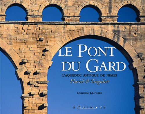 Stock image for Pont du gard pluriel et singulier for sale by Ammareal