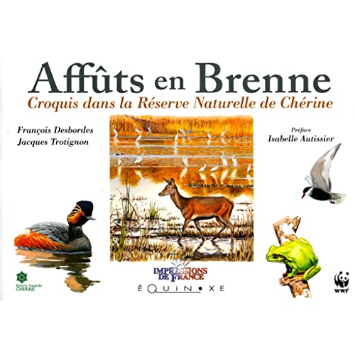9782841358519: Affts en Brenne: Croquis dans la rserve naturelle de Chrine