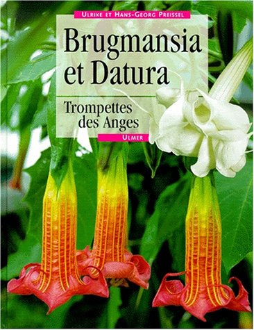 Stock image for Brugmansia et Datura : Trompettes des Anges for sale by Ammareal