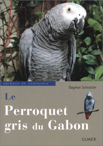Le Perroquet Gris du Gabon.