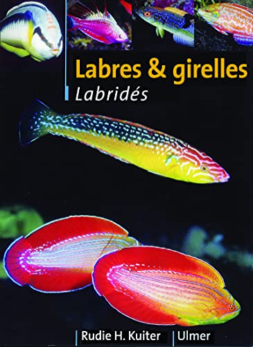 Stock image for Labres Et Girelles : Labrids for sale by RECYCLIVRE