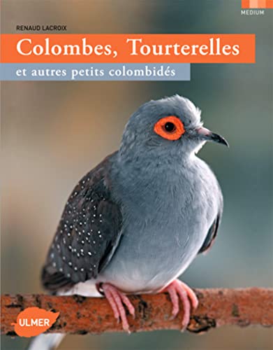 Beispielbild fr Colombes, tourterelles et autres petits colombids zum Verkauf von Ammareal