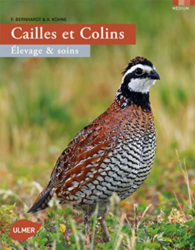 9782841383214: Cailles et colins. Elevage et soins