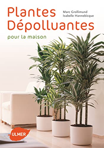 Beispielbild fr Plantes dpolluantes pour la maison zum Verkauf von Ammareal