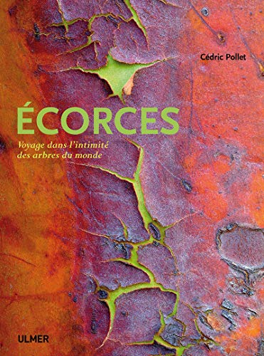 Beispielbild fr Ecorces : Voyage dans l'intimit des arbres du monde zum Verkauf von medimops