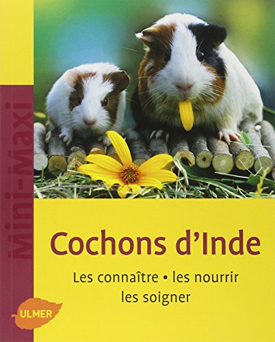 Beispielbild fr Cochons d'Inde : Les connatre, les nourrir, les soigner zum Verkauf von medimops