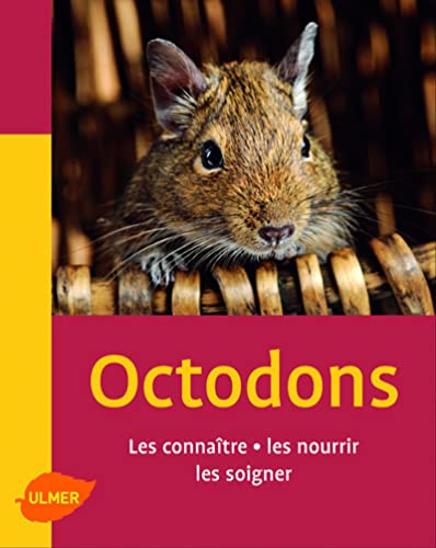 Stock image for Les Octodons. Les connatre, les nourrir, les soigner for sale by Librairie Th  la page