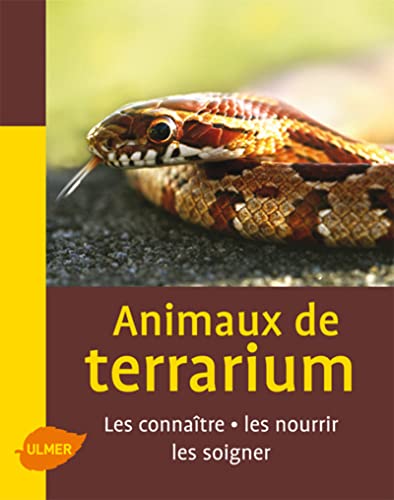 Beispielbild fr Animaux de terrarium : Les connatres, les nourrir, les soigner zum Verkauf von medimops