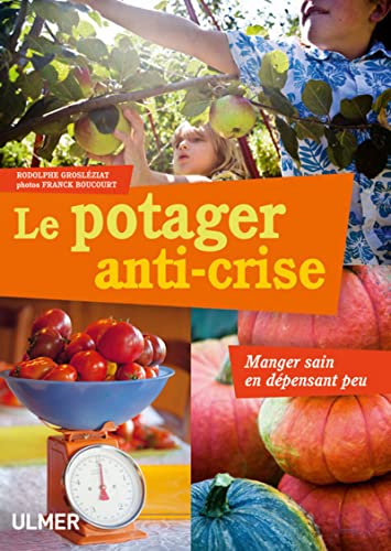 9782841384259: Le Potager anti-crise. Manger sain en dpensant peu