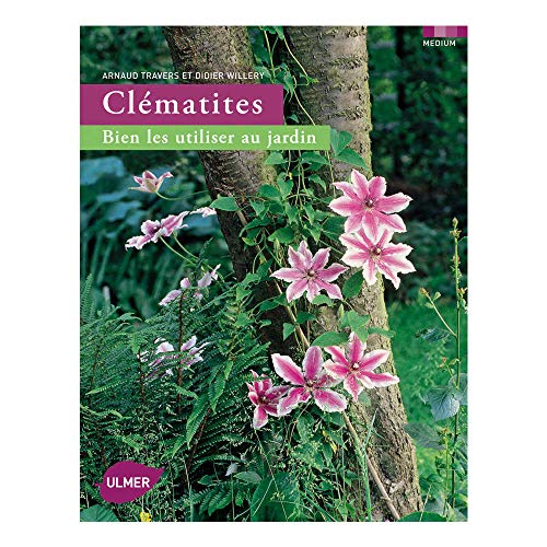 9782841384501: Clmatites: Bien les utiliser au jardin