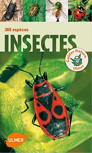 9782841385621: Insectes