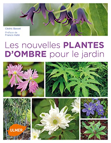 9782841386451: Les Nouvelles plantes d'ombre pour le jardin