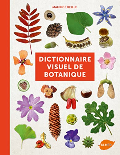 Stock image for Dictionnaire visuel de botanique for sale by medimops