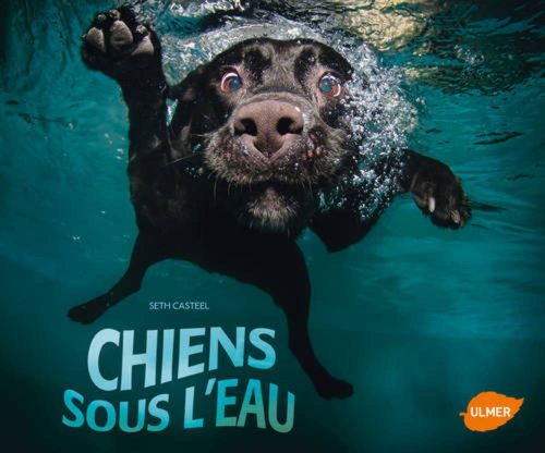 Stock image for Chiens sous l'eau for sale by Irish Booksellers