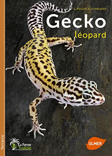 Stock image for Gecko lopard for sale by medimops