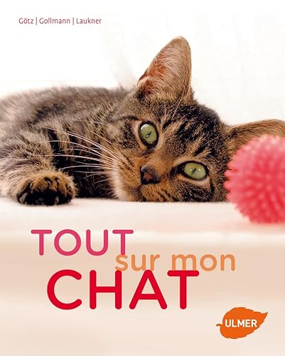 Imagen de archivo de Tout sur mon chat a la venta por medimops