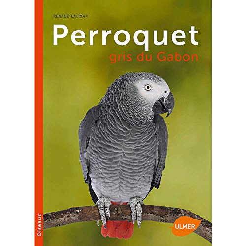 Stock image for Perroquet gris du Gabon [Broch] Lacroix, Renaud for sale by BIBLIO-NET