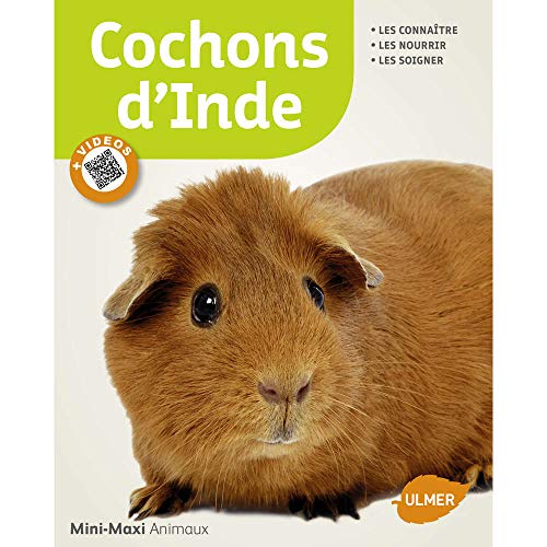 Beispielbild fr Cochons D'inde : Les Connatre, Les Nourrir, Les Soigner zum Verkauf von RECYCLIVRE