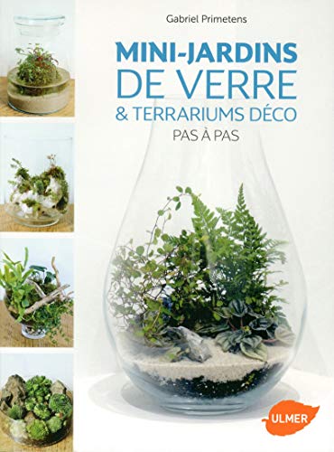 Beispielbild fr Mini-jardins de verre & Terrariums dco Pas  Pas zum Verkauf von medimops