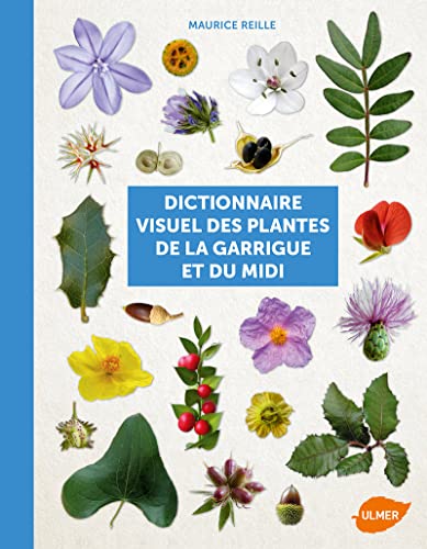 9782841388523: Dictionnaire visuel des plantes de la Garrigue et du Midi