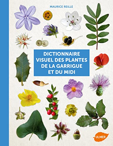 Stock image for Dictionnaire visuel des plantes de la Garrigue et du Midi for sale by medimops